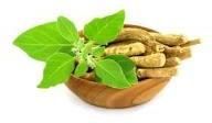 Ashwagandha Extract