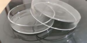 4 Inch Glass Petri Dish