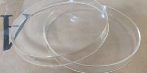 8 Inch Glass Petri Dish