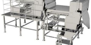 KFS Cashew Color Sorter