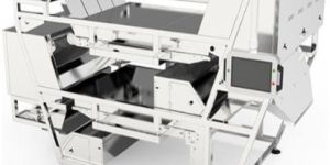 KS Cashew Color Sorter