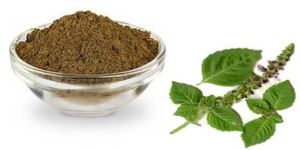 Tulsi Powder