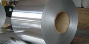 Stainless Steel Strips