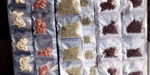 Masala Packaging Pouch