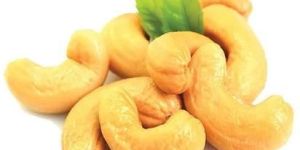 American Cashew