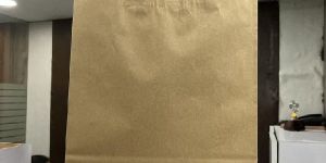 Plain Brown Paper Shopping Bags