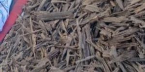 a Grade Agarwood Chips