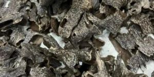 Agarwood Mori Fragrance