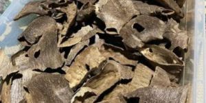 Agarwood Oud Fragrance