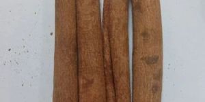 Brown Cinnamon Sticks