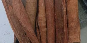 Raw Cinnamon Sticks