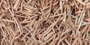 Rubia Cordifolia Roots