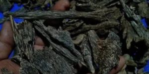 Underwater Agarwood Chips