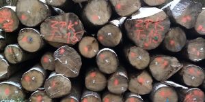 Maple Logs and Lumber