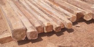 Teak, Maple, Ash, Oak and Beech Logs