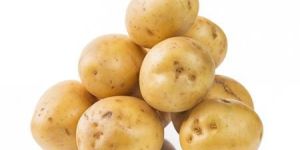Fresh Potato