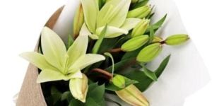 Lovenation Flower Bouquet