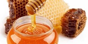 Organic Honey
