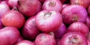 Fresh Pink Onion