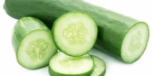 Fresh Cucumber