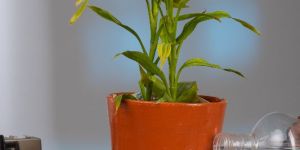 Unique Terracotta Self-Watering Planter