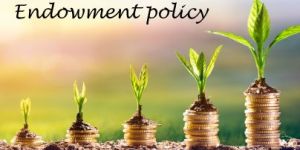 Endowment Insurance Services