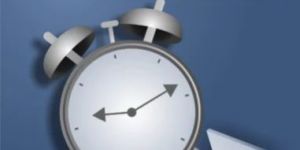 Term Insurance Services