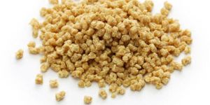 Textured Soy Protein