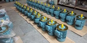 Cast Iron Three Phase Induction Motor