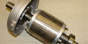 Squirrel Cage Motor