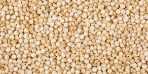 Quinoa Seeds