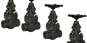 Socket Weld Valve