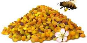 Bee Pollen Grains