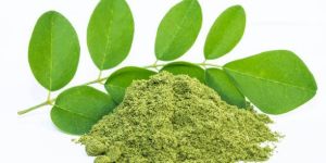 Moringa Leaves Powder