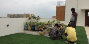 Landscape Architecture