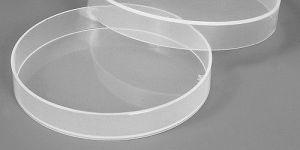 Polypropylene Petri Dish