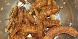 Tamarind