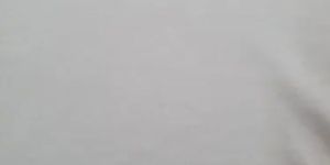 Supima Cotton Jersey Fabric