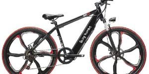 BEING HUMAN ECETRICAL CYCLE WITH GARE