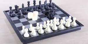 Magnetic Chess Coins