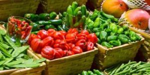 Agriculture Custom Clearance Services