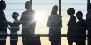 Custom Consultation Services