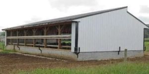 Poultry Shed