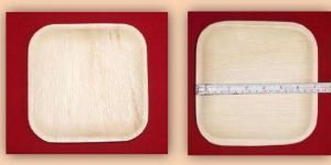 SS 07 Areca Leaf Square Shallow Plates