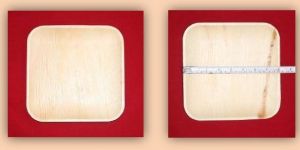 SS 08 Areca Leaf Square Shallow Plates