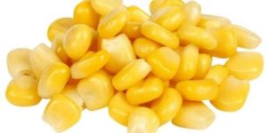 Sweet Corn Kernels