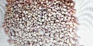 Desiccant Granules