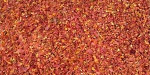 Dehydrated Tomato Flakes