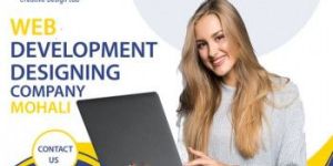 The best for your custom projects Website Web Development Company in Mohali?