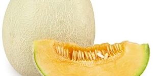 Fresh Muskmelon